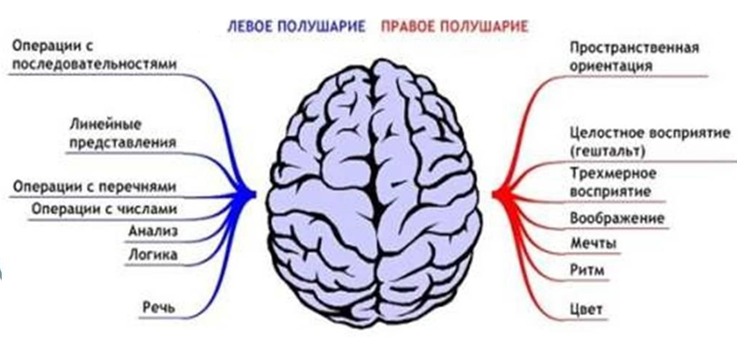 Технология интеллектуального картирования и ее применение в рамках самообразования педагога